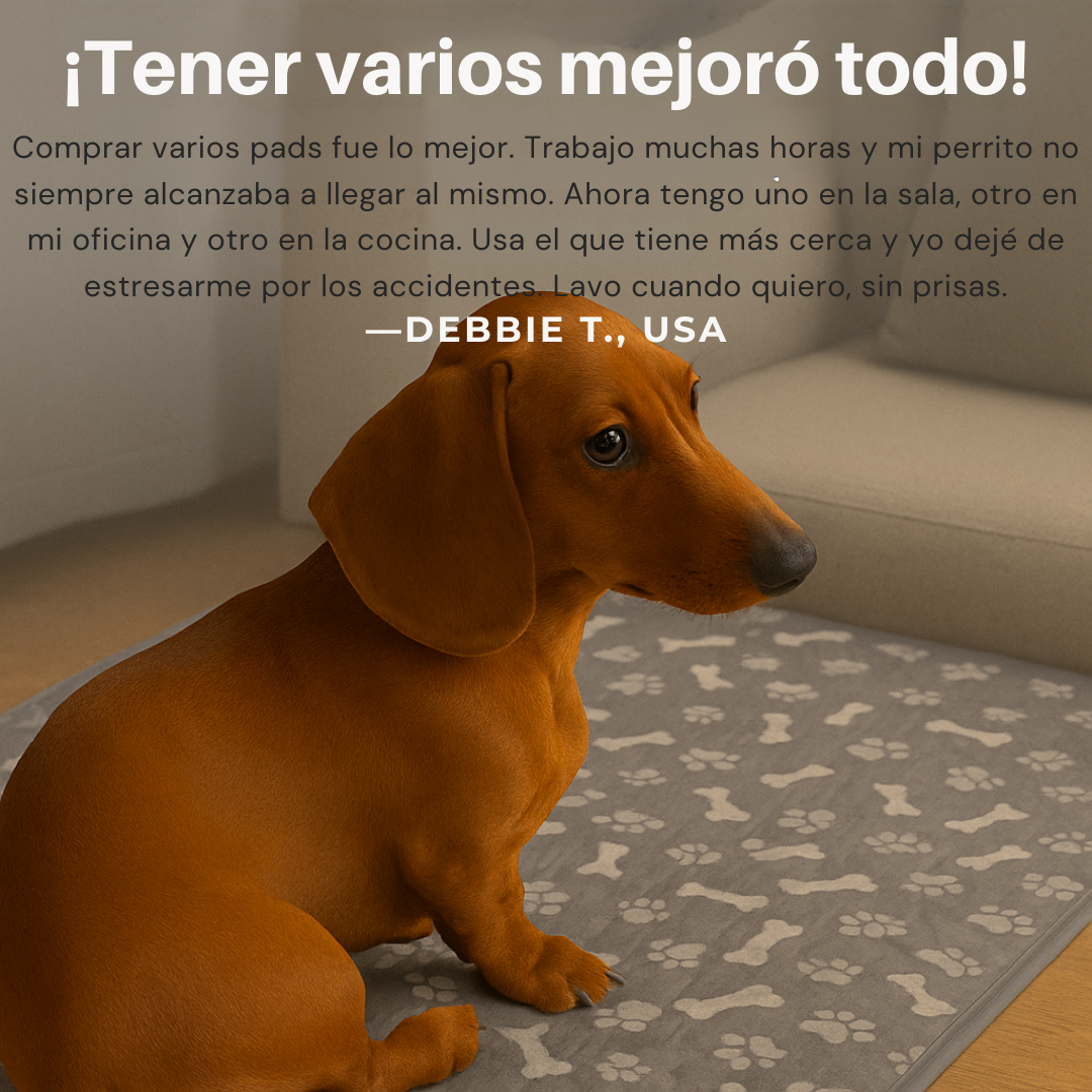 SnugPaw - Alfombra Absorbente