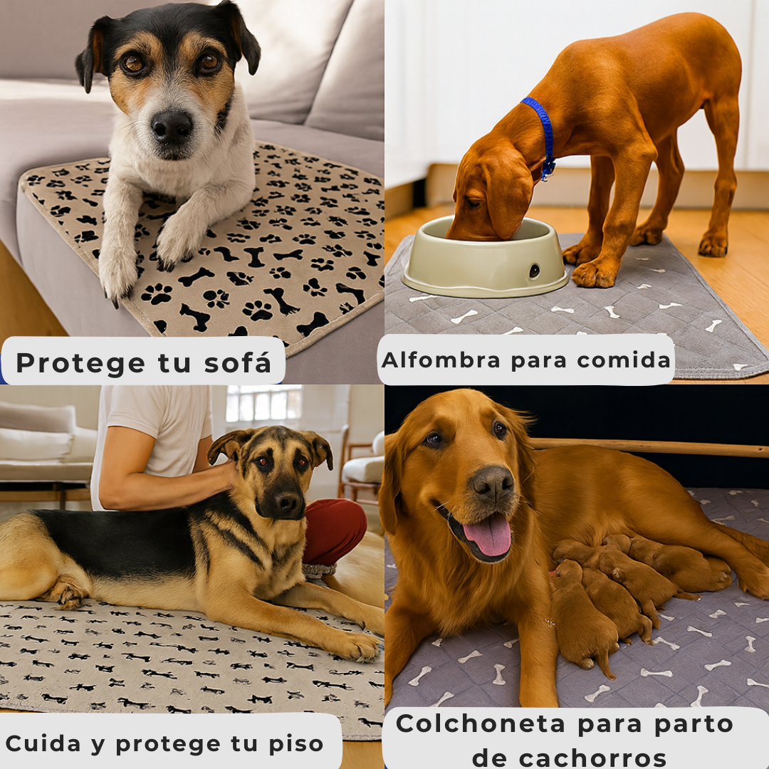 SnugPaw - Alfombra Absorbente