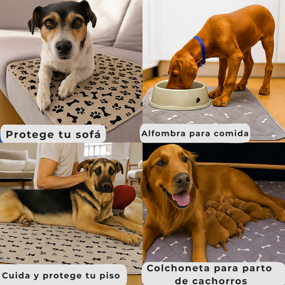 SnugPaw - Alfombra Absorbente